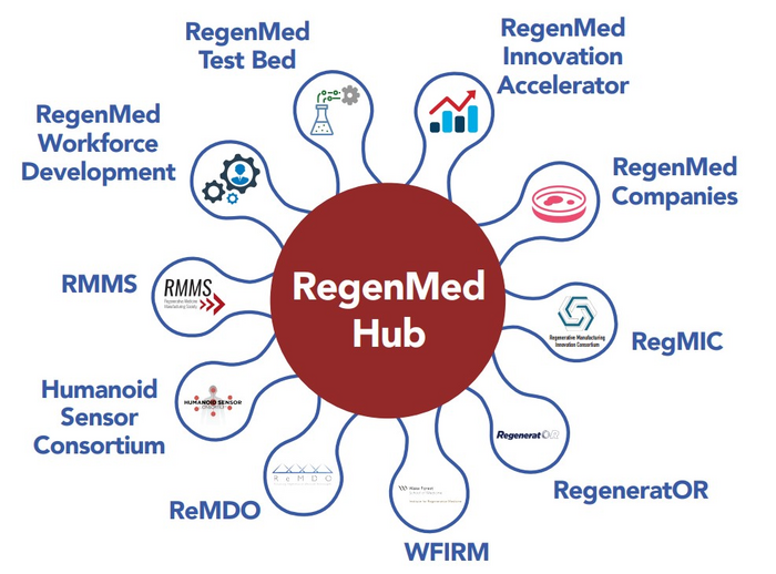 RegenMed Hub