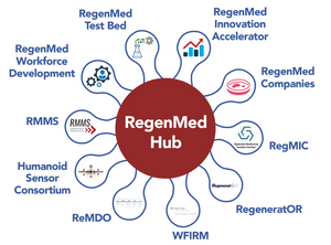 RegenMed Hub