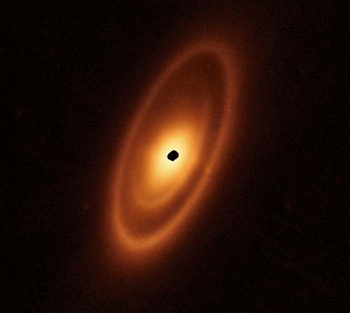 The dusty debris disk surrounding the young star Fomalhau