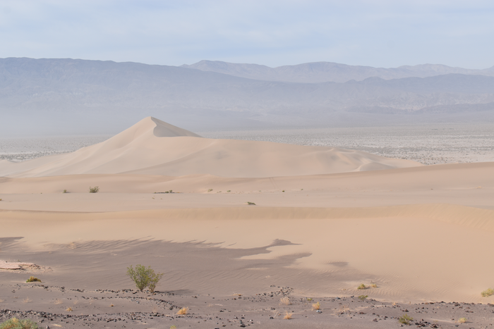 Part of the Ibex Dune Field in Death Valley National Park, California.