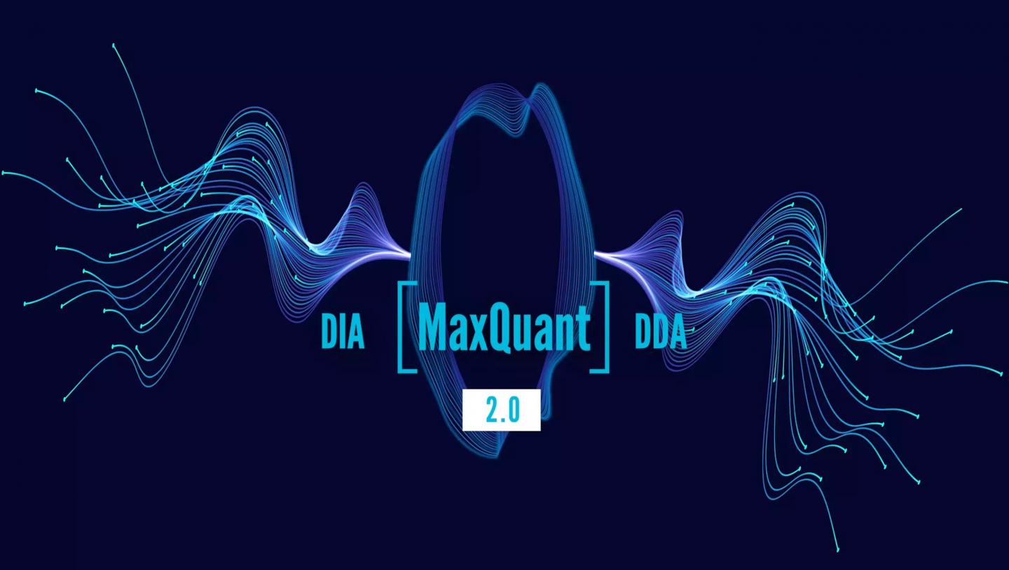 MaxQuant 2.0