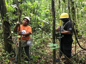 Palau staff collecting tree data in the ForestGEO plot.