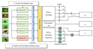 Teachers cooperation: team-knowledge distillation for multiple cross-domain few-shot learning