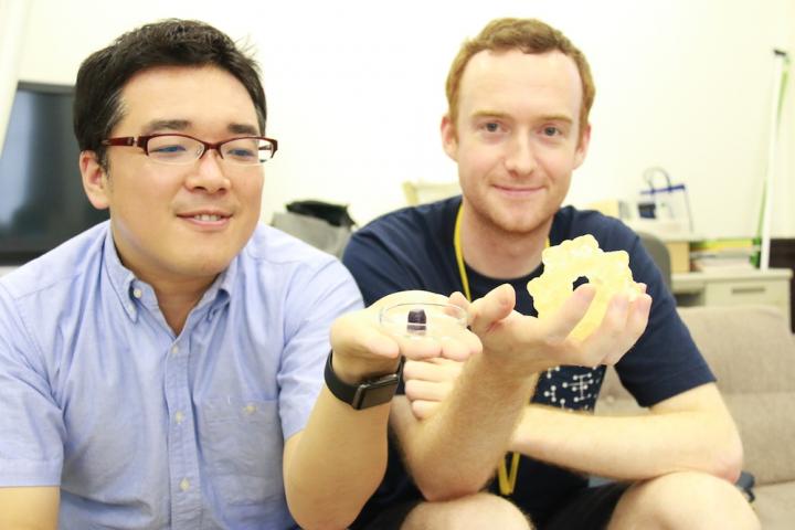 Authors and the New Porous Gel