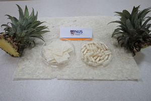 Fat-trapping capsules and cracker created using pineapple leaf fibres