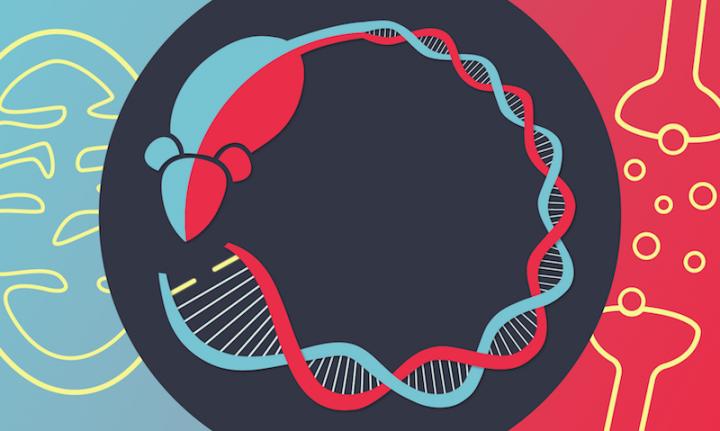 Broken Serotonin and Mitochondrial Signaling Linked to Bipolar Disorder