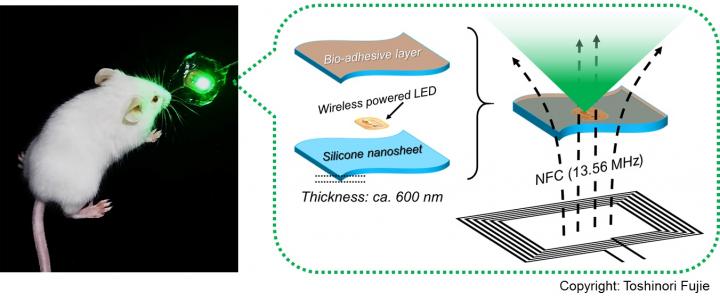 Bioadhesive, Wirelessly-powered Implant