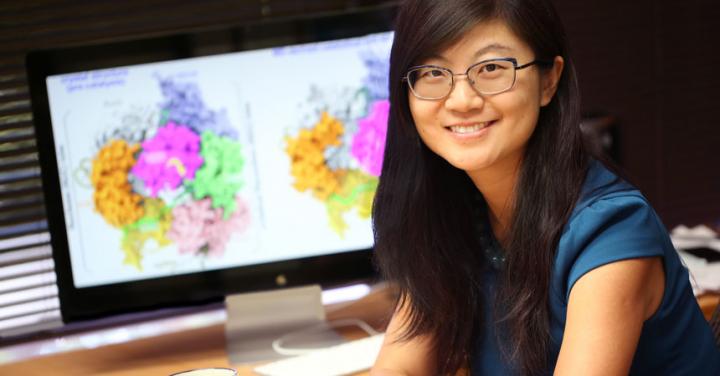 Dr. Jin Liu of UNT Health Science Center