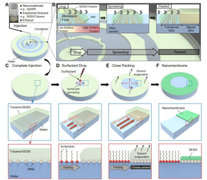 Figure 1. Fabrication of a highly conductive and stretchable nanomembrane using a float assembly method