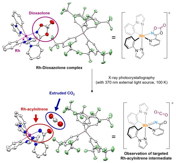 Figure 3. Access to rhodium-acylnitrenoid intermediate via X-ray photocrystallographic analysis