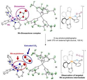 Figure 3. Access to rhodium-acylnitrenoid intermediate via X-ray photocrystallographic analysis