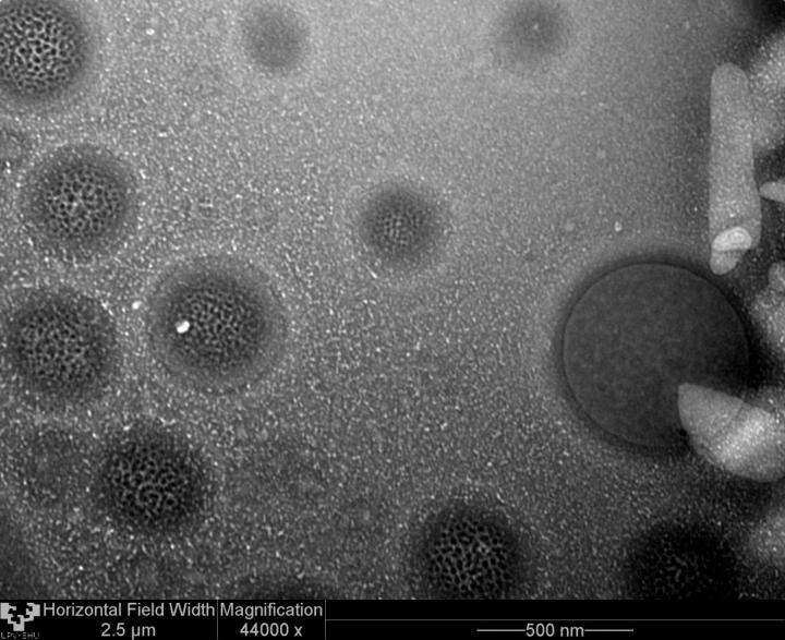 Nanopartículas lipídicas
