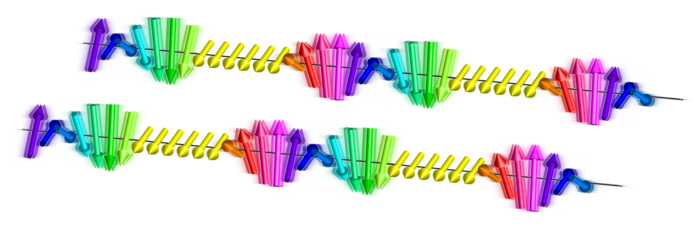 The CSL phonon modes, or the collective resonance modes, are observed in chiral magnetic crystal CrNb3S6