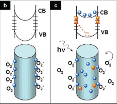 Schematic of the Trapping and Photoconduction Mechanism in ZnO Nanowires