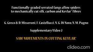 Saw movements in cutting Kevlar©