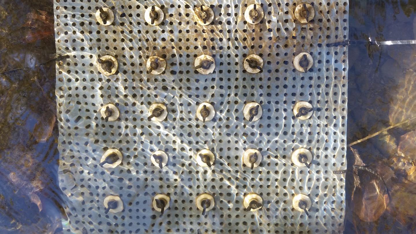 Ecology -- Better Mercury Predictions