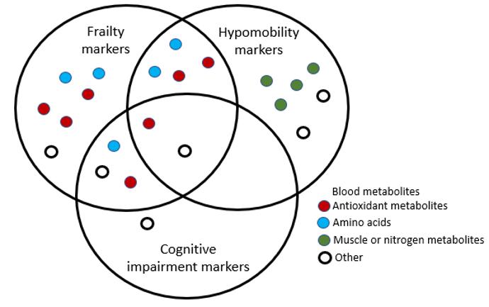 A Venn Diagram Showing How Different Metabolites Relate to Different Age-Related Disorders