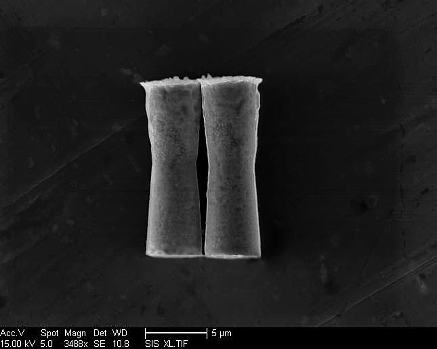 SEM Image of Micromotors