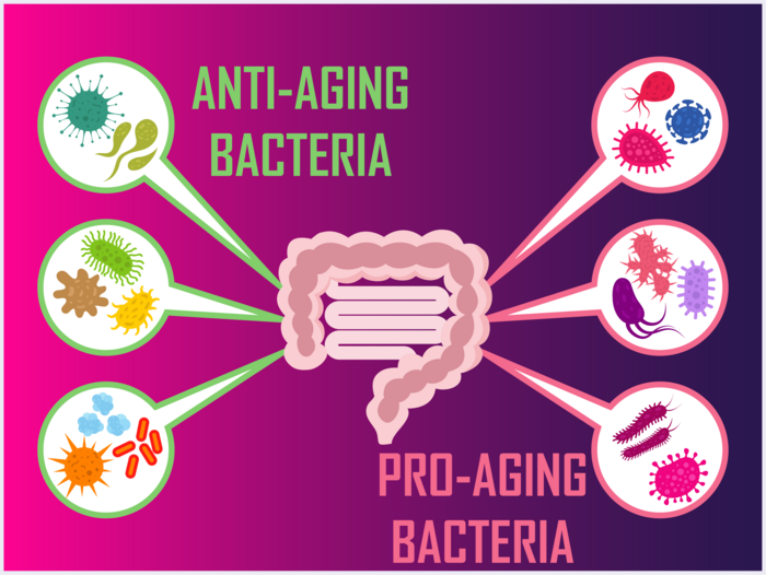 Deep Longevity patents microflora-based anti-aging treatments