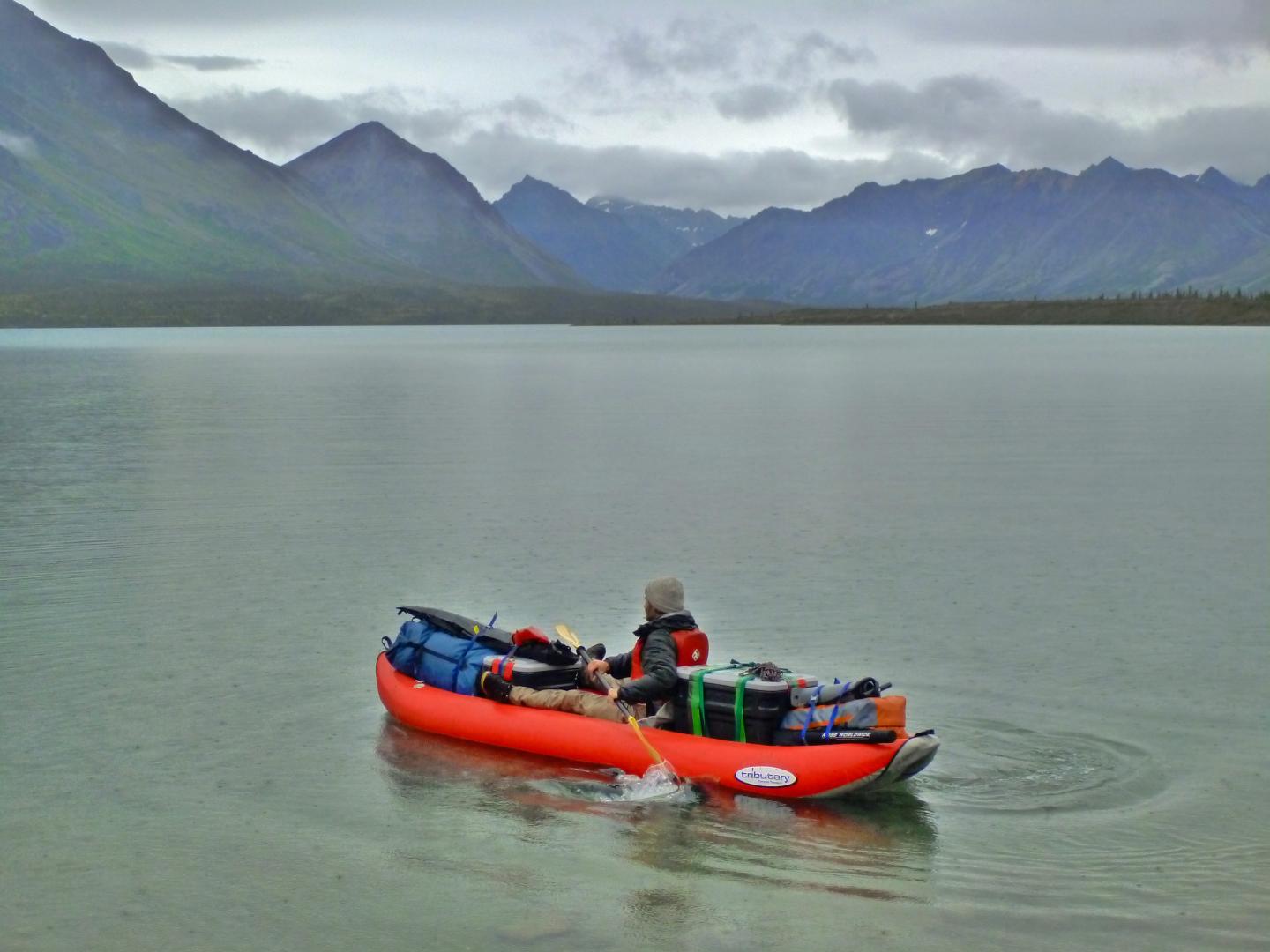 Chemical Record in Ear Bones Reveals Life History of Pacific Salmon (9 of 9)