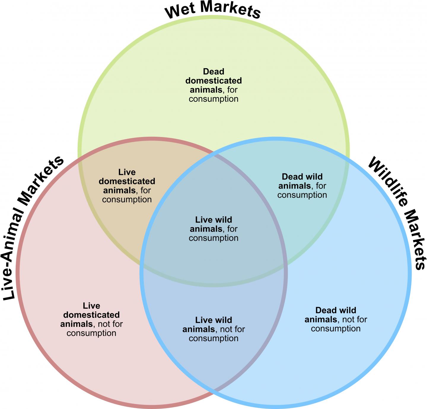 Wet Market Descriptions [IMAGE] | EurekAlert! Science News Releases