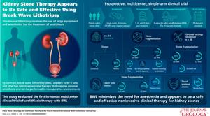 New noninvasive technique provides effective treatment for urinary stones