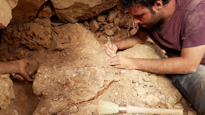 Fabbri fieldwork closeup