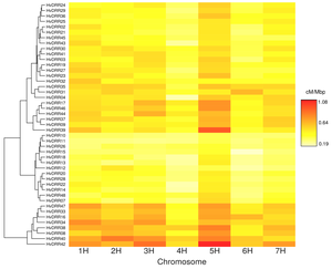 Differences in recombination rates