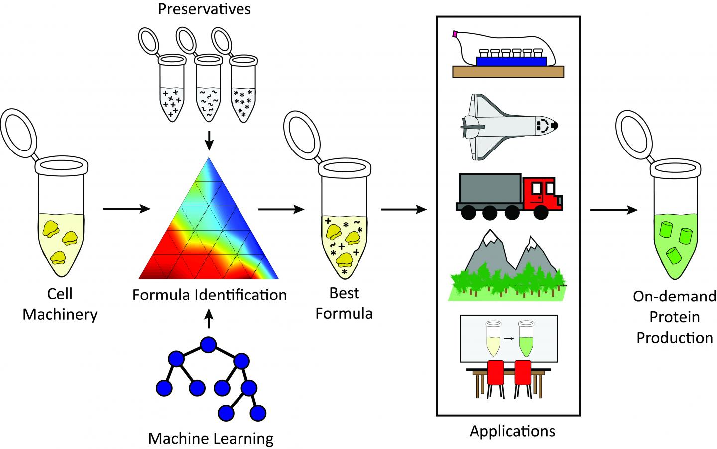 Preservative Formulations Improve Storage of Cell-Free Components at Room Temperature