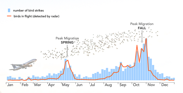 Bar graph showing migration intensity and collisions