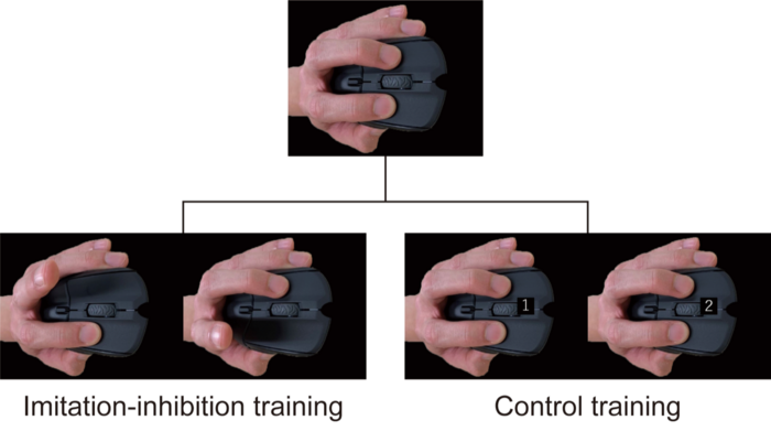 Imitation-inhibition training