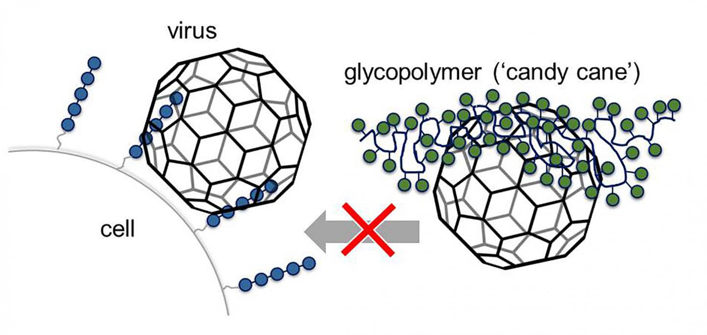 Artificially Manufactured Glycomimetics Block Viruses