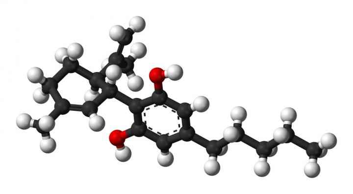 CBD Molecule