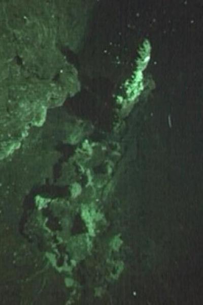 Deep-sea Vent