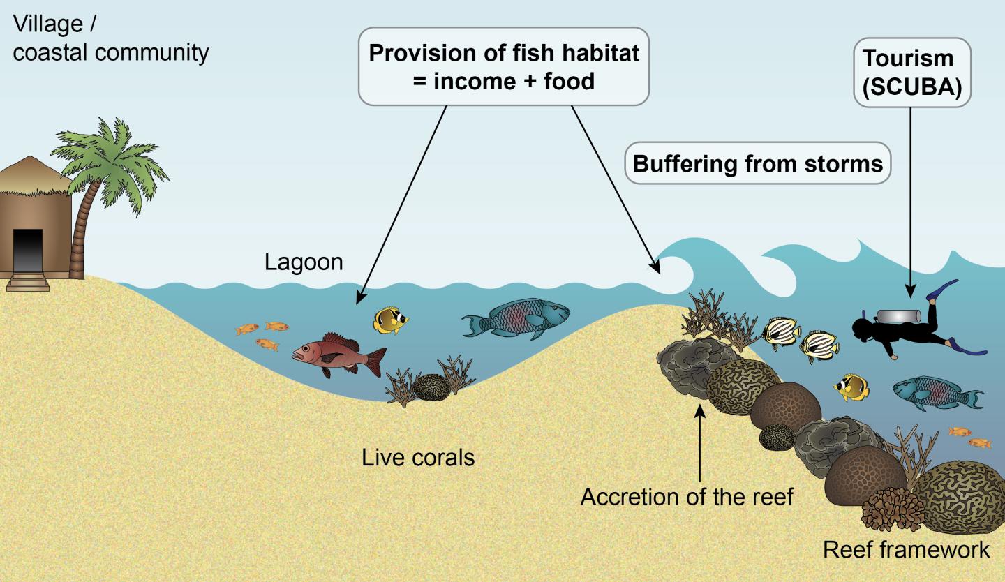 Challenges Facing Coral Reefs: Climate Change and Human Impacts