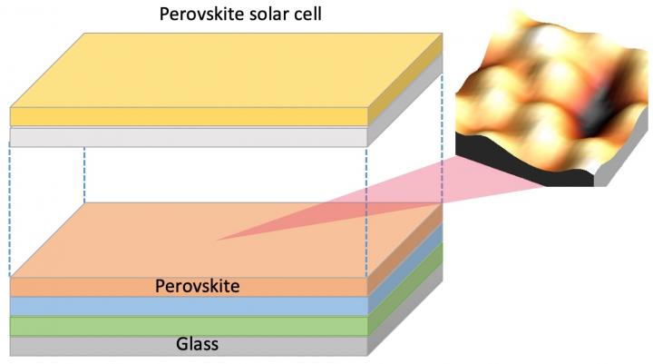 Perovskite Solar Cell