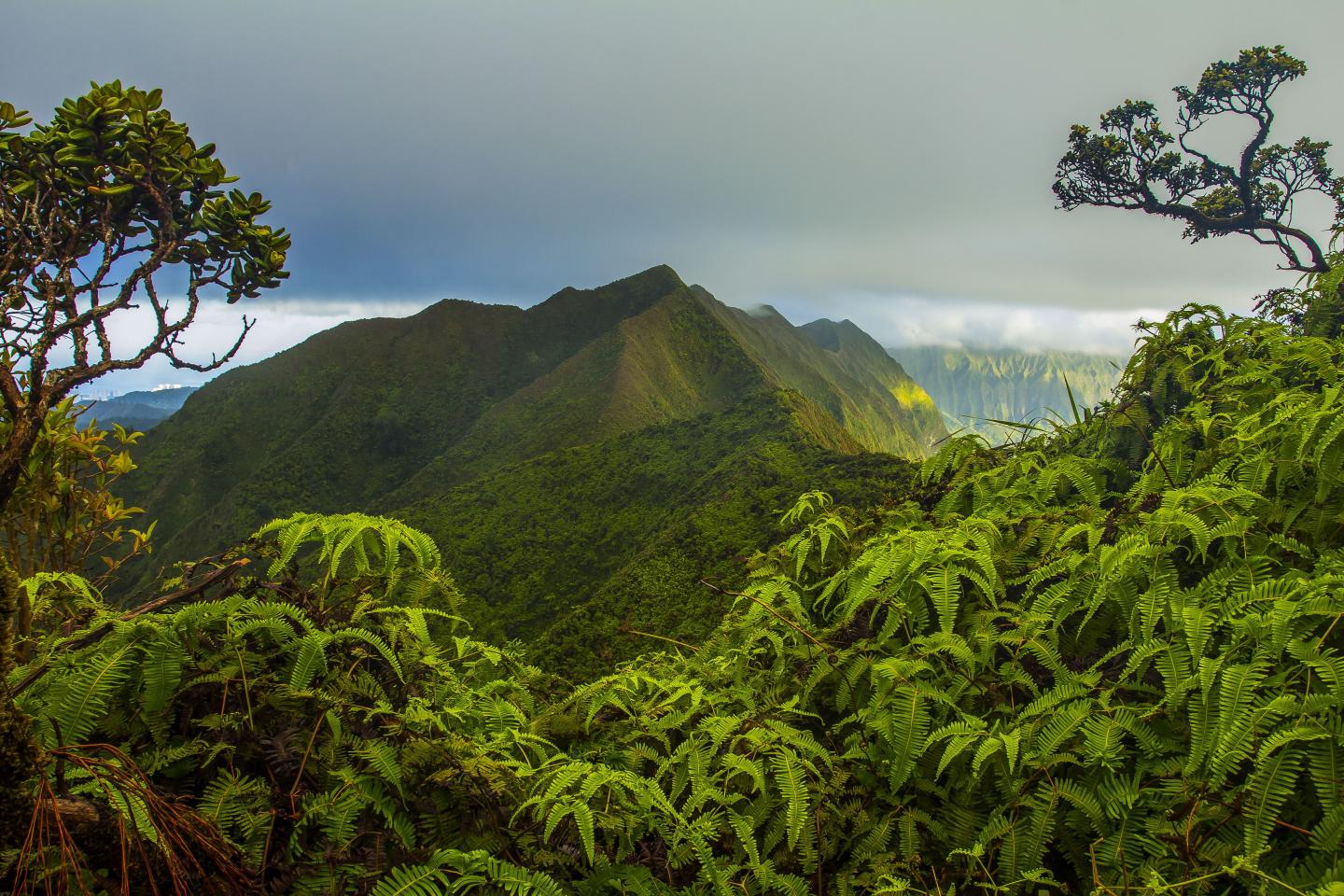 The Ko'olau Summit on the Island of O'ahu in Hawai'i