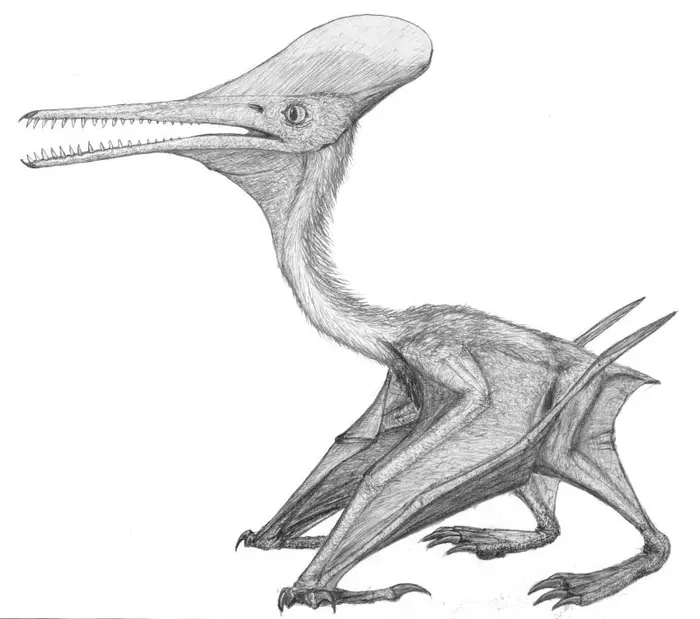 pterodactylus kochi-artwork by Dino Frey