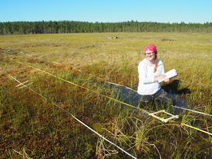 Field work in Mahlaneva aapa mire.