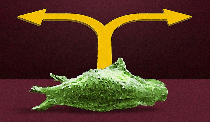 Directional Signals for Cancer Cells