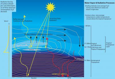 Water Vapor: A Wild Card of Global Warming?