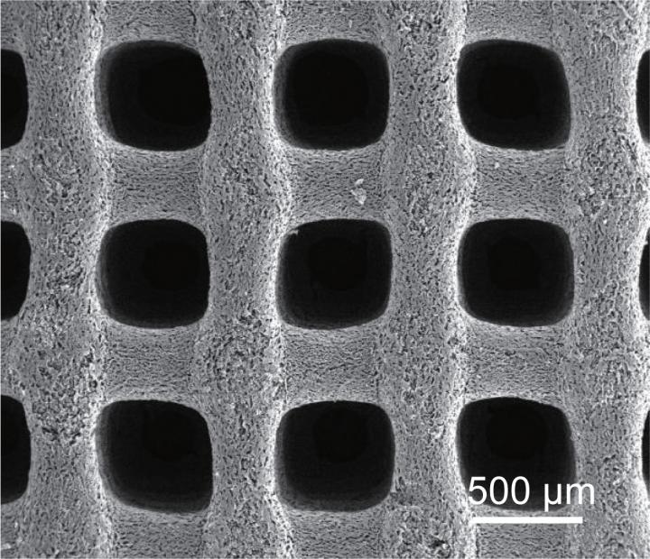 Porous, ultralow-temperature supercapacitors could power Mars, polar missions