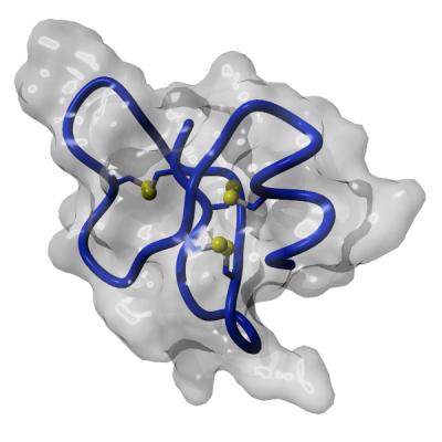 Structure of the Folded, Inactive State of Human Beta-Defensin 1
