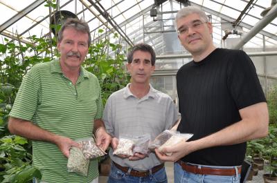 UC Riverside Cowpea Team Members