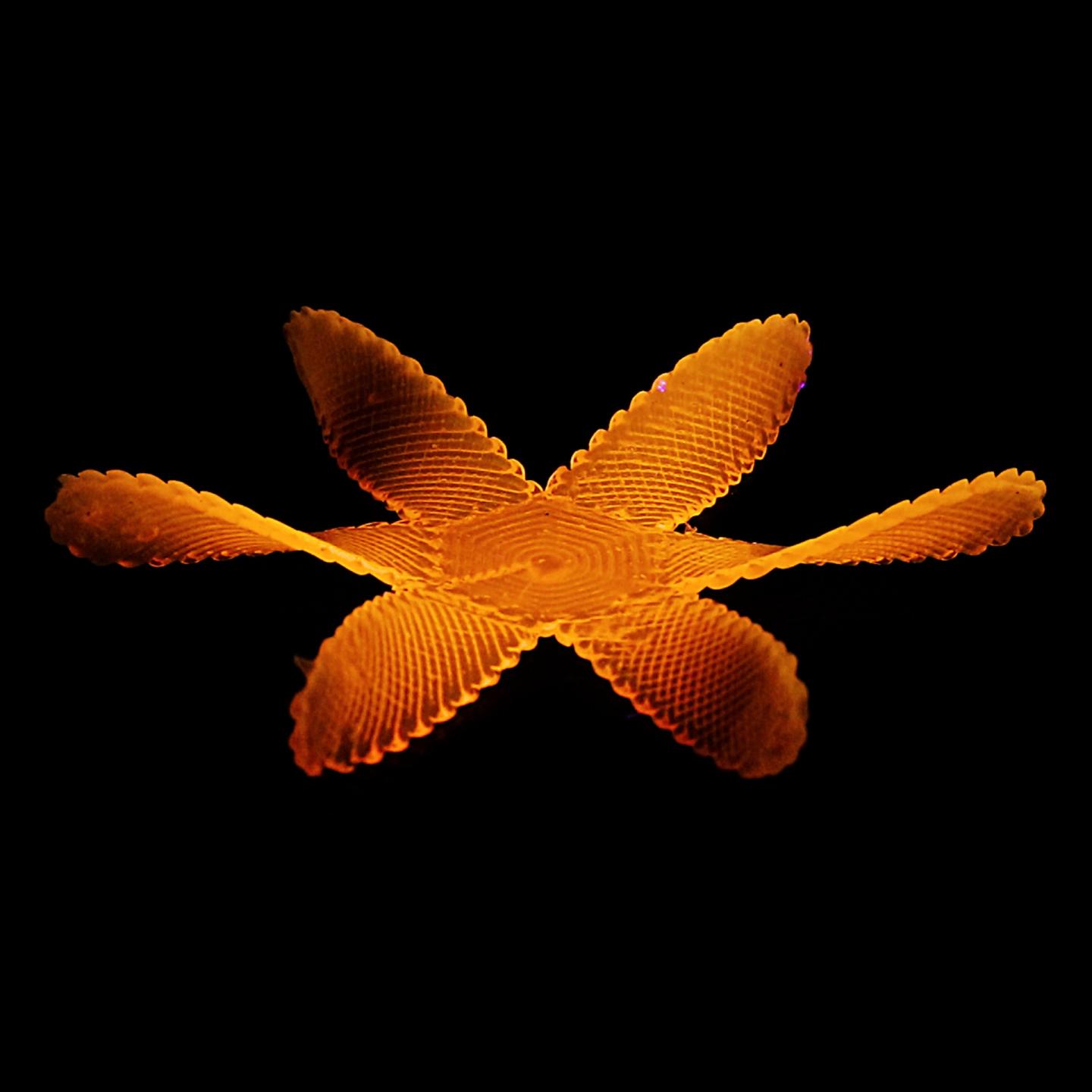 3D-Printed Flower-Like Structure that Can Twist