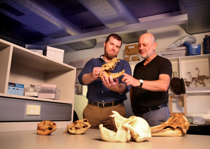 Professor Kris Helgen, Professor Tim Flannery examining mammal skulls