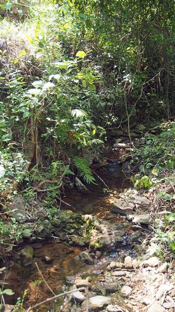 Watercourse, Myanmar