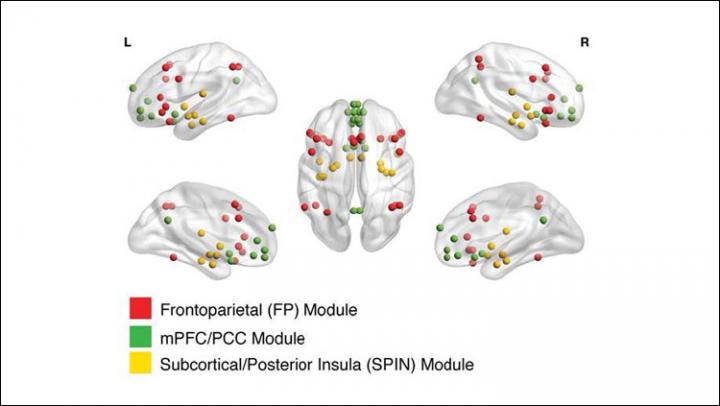 Big Data Clarifies Emotional Circuit Development