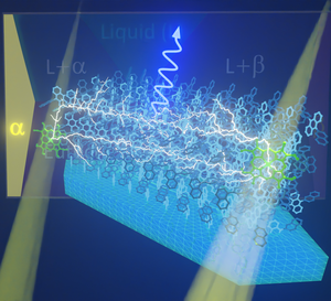 Figure 1. Image of photon upconversion using a developed crystal through triplet-triplet annihilation