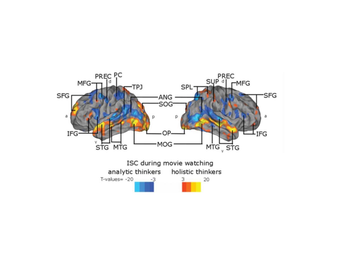 Holistic Thinkers' Brains Have Similar Responses to Drama, While Analytical Thinkers Differ Widely